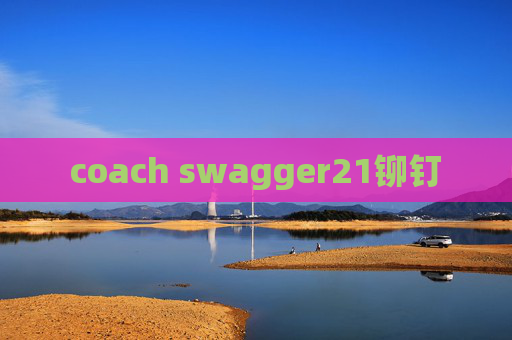 coach swagger21铆钉
